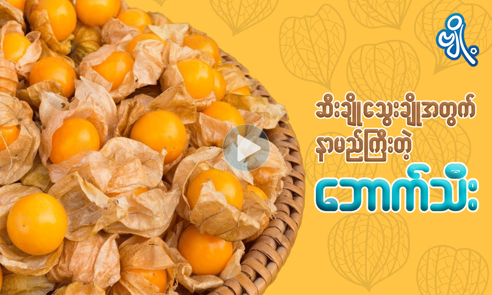 ဆီးချို သွေးချိုအတွက် နာမည်ကြီး တဲ့ဘောက်သီး