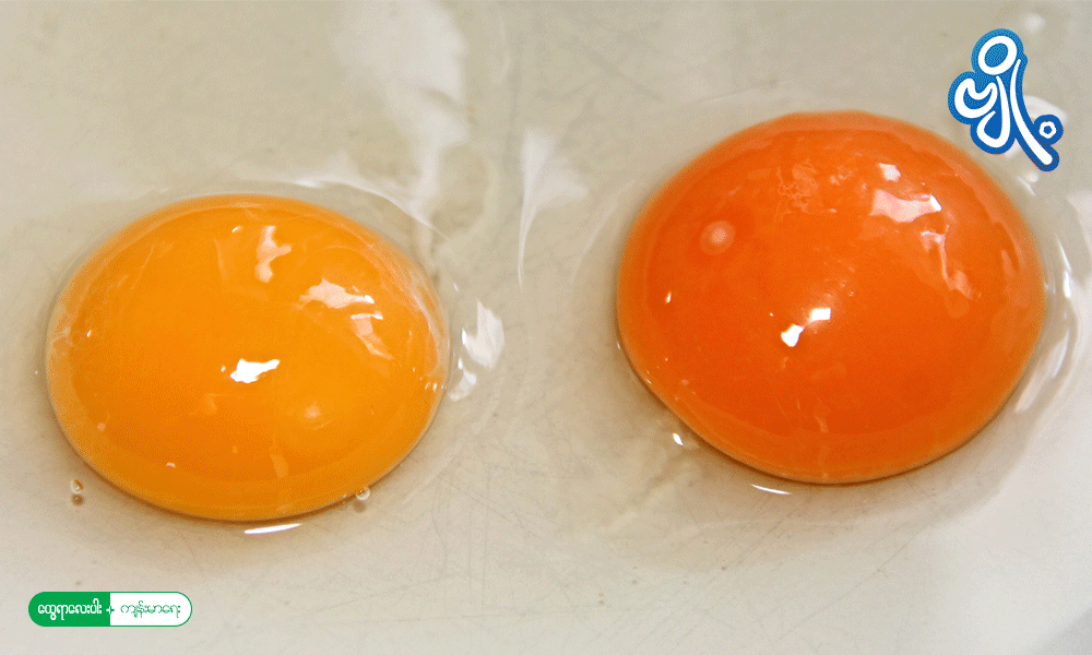 ဘယ်လိုအရောင်ရှိတဲ့ကြက်ဥက ကျန်းမာရေးအတွက် အမှန်တကယ် သင့်တော်တာလဲ