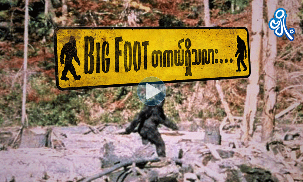 Big Foot တကယ်ရှိသလား ?