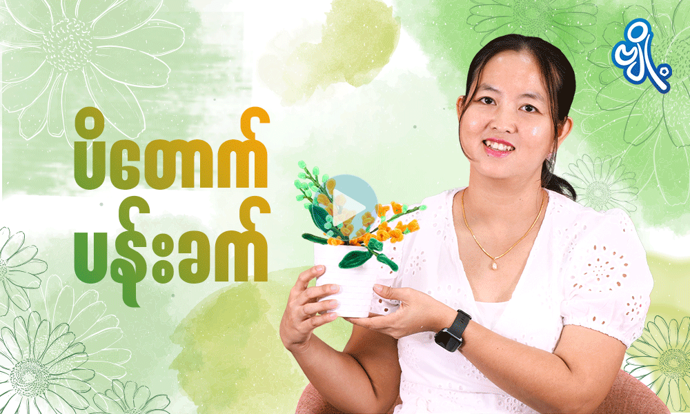 ပိတောက်ပန်းခက် . . .